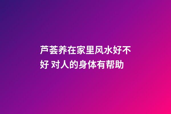 芦荟养在家里风水好不好 对人的身体有帮助